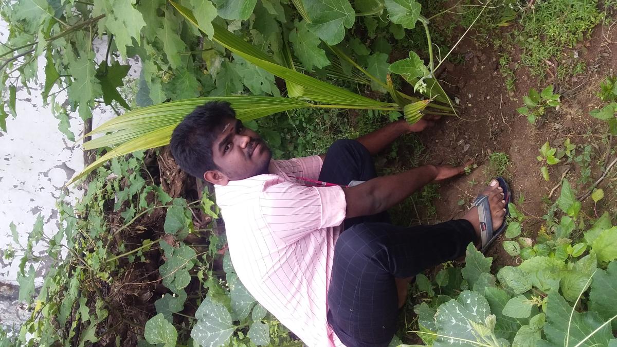 BP'S BIRTHDAY TREE PLANTING 