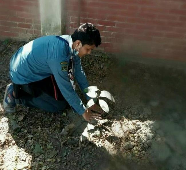 বৃক্ষ রোপণ 