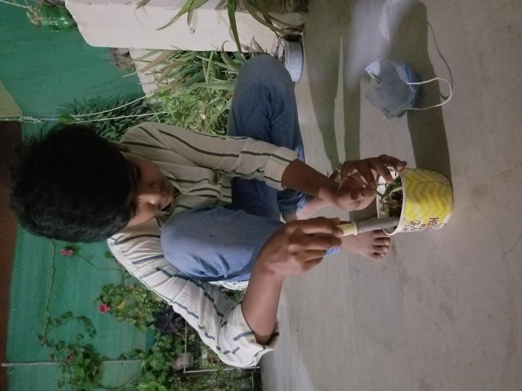 spreading peace through scouting