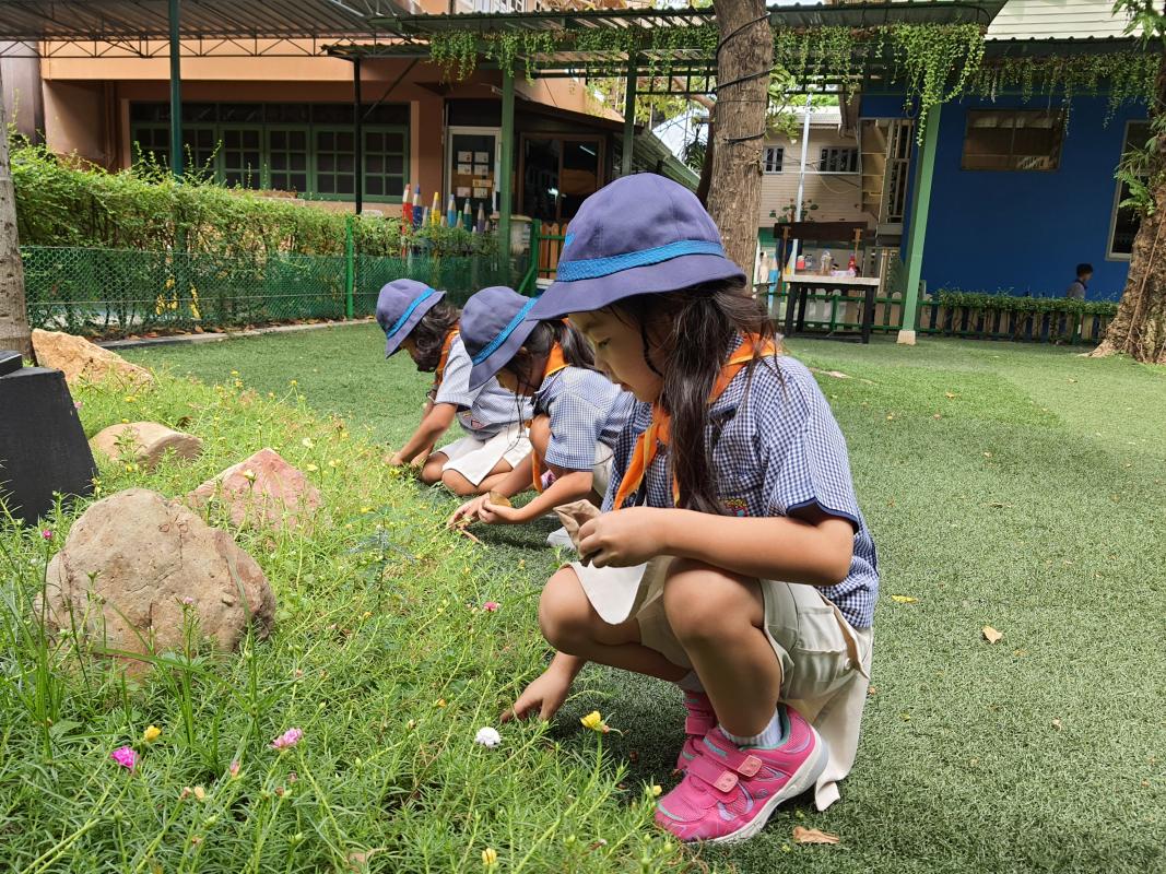 กิจกรรมจิตอาสา