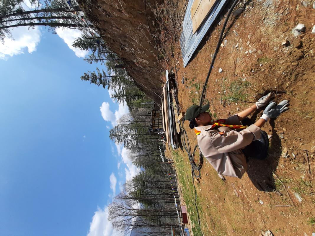 plantation of grass, saplings, flowers and fruit trees