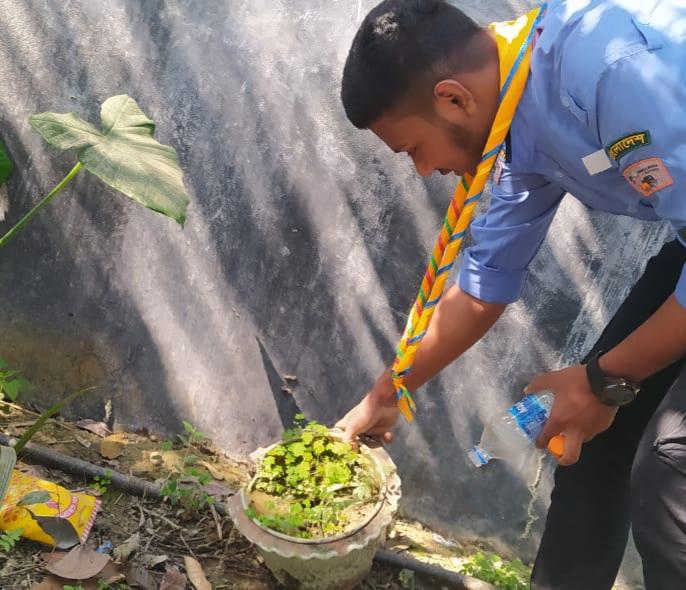 ডেঙ্গু প্রতিরোধ