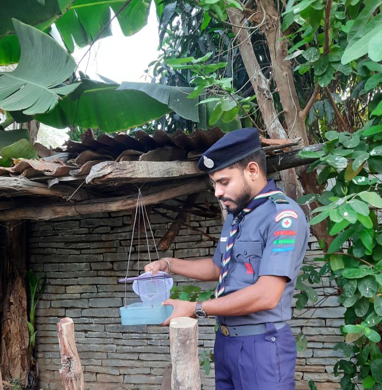Food and water system for animal birds