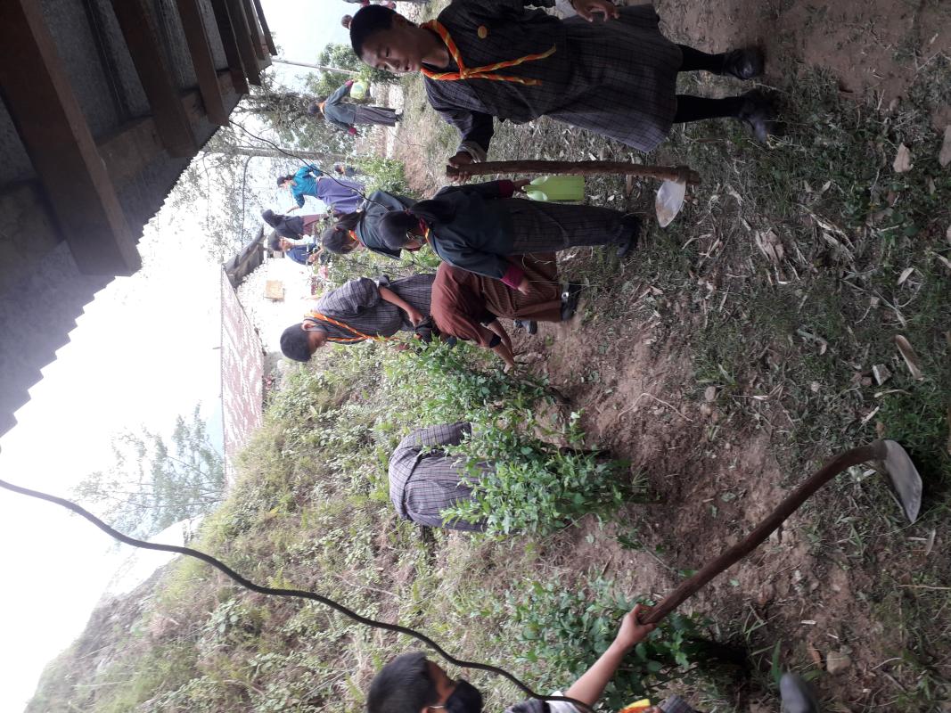 Making Flower garden in the school
