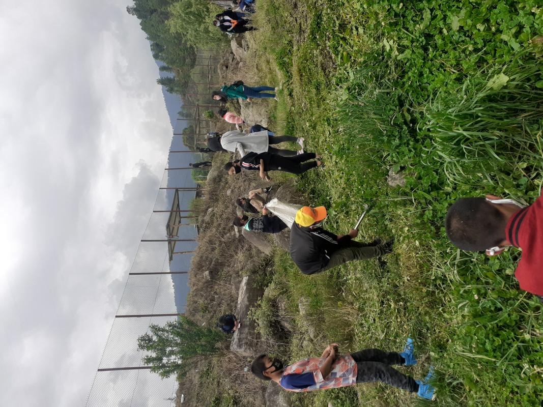 Uprooting of marijuana plants in school campus