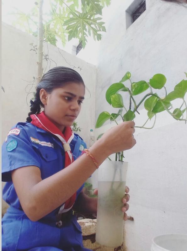 Plastic Chunauti