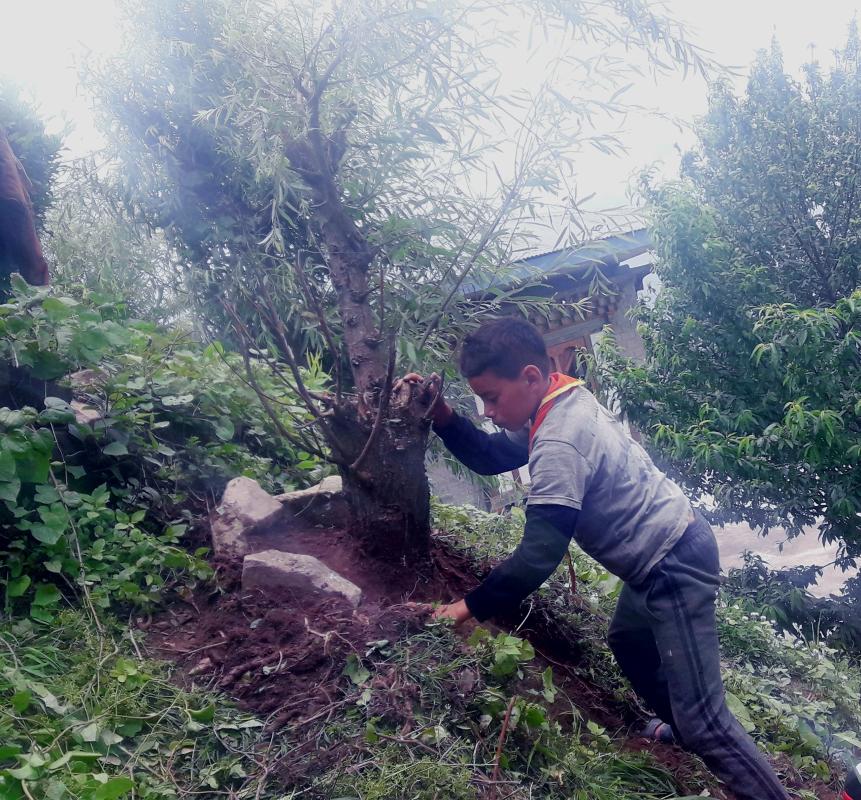 Social forestry day celebration 2021