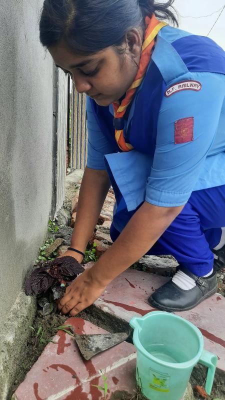 World environment day