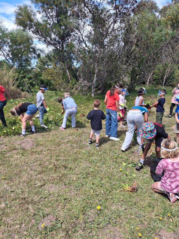 Restored and Renewed: The Beauty of Our Grounds