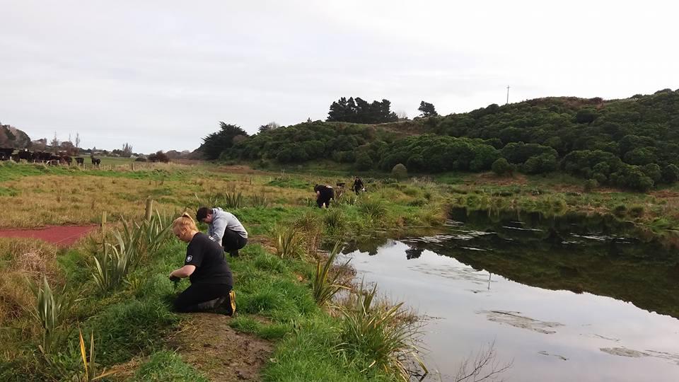 Wetlands Project - World Scout Environment Programme