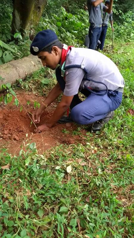 Let's make the world GREEN