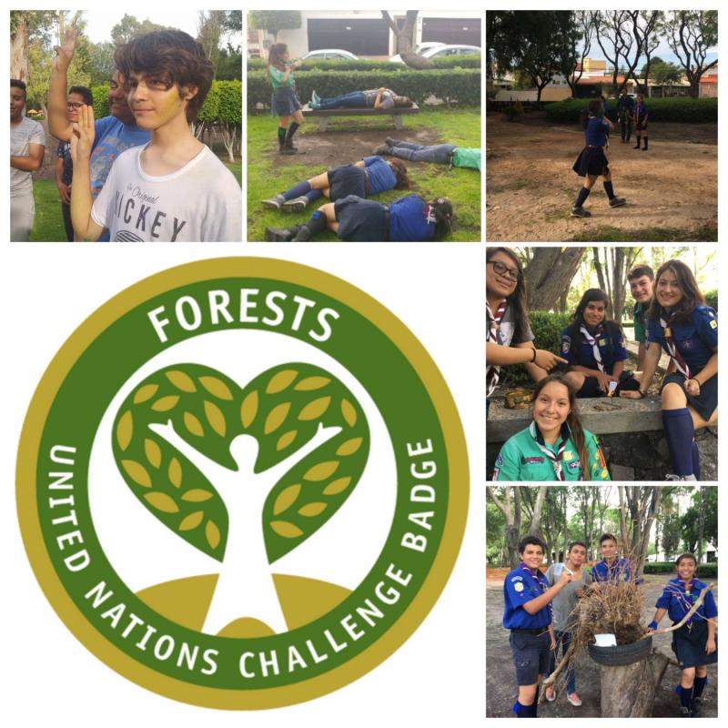 Insignia de los bosques - Caminantes Provincia Querétaro