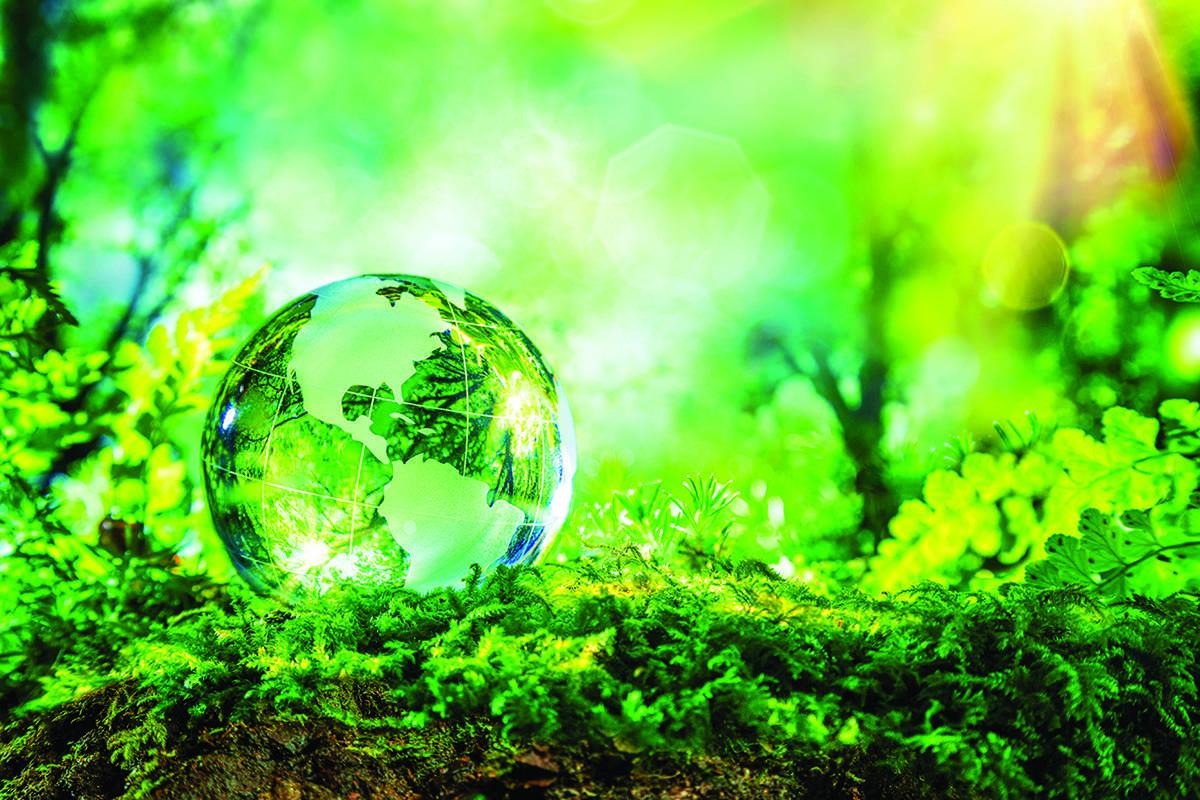 THINGS THAT I DID IN COVID - 19 PANDEMIC