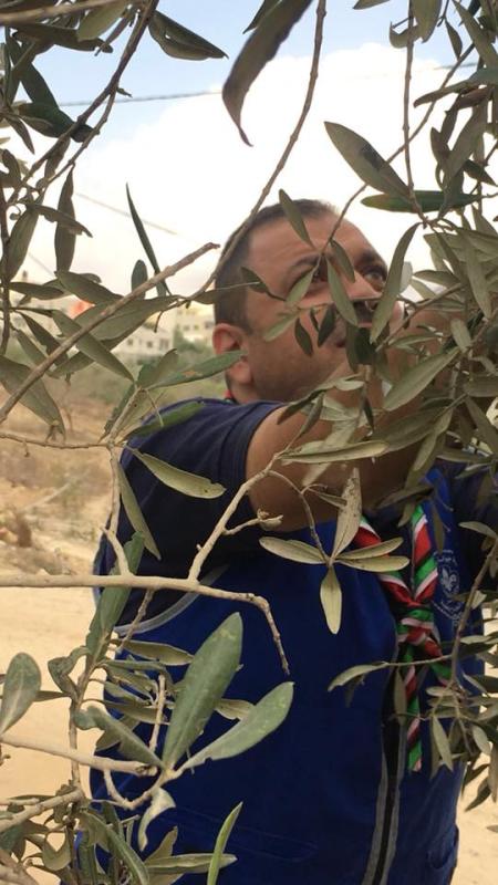 Al-Najah troops helping the villagers in picking the olives