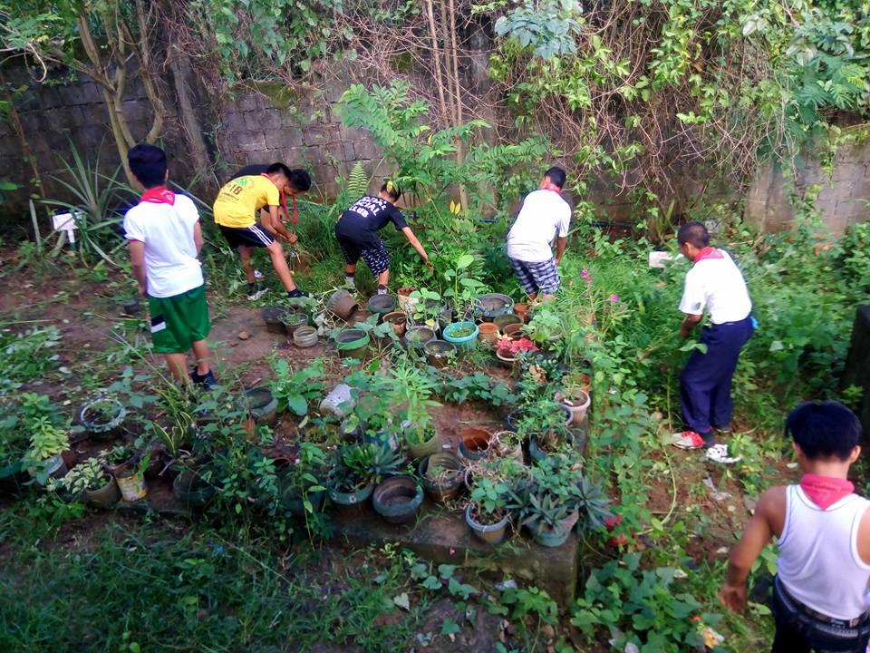 Community Service,Clean Up Drive