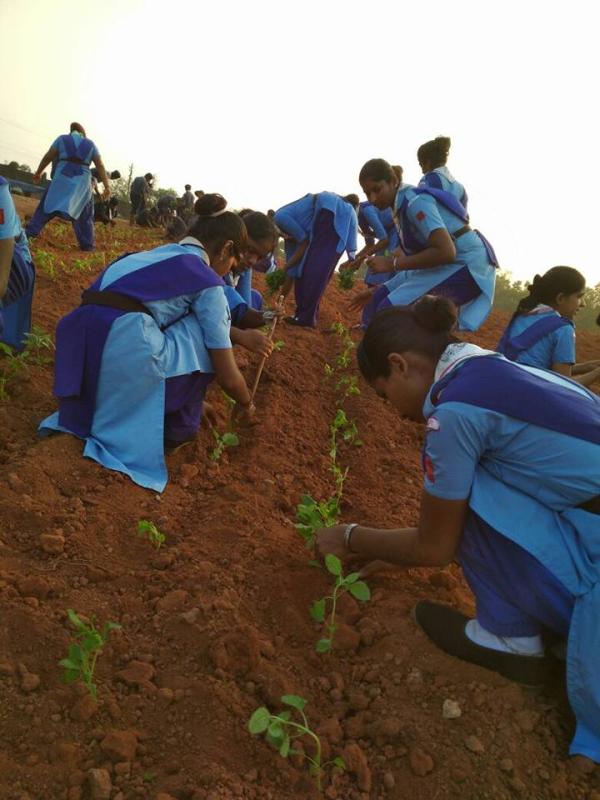 ROVER & RANGER District Level SERVICE CAMP 