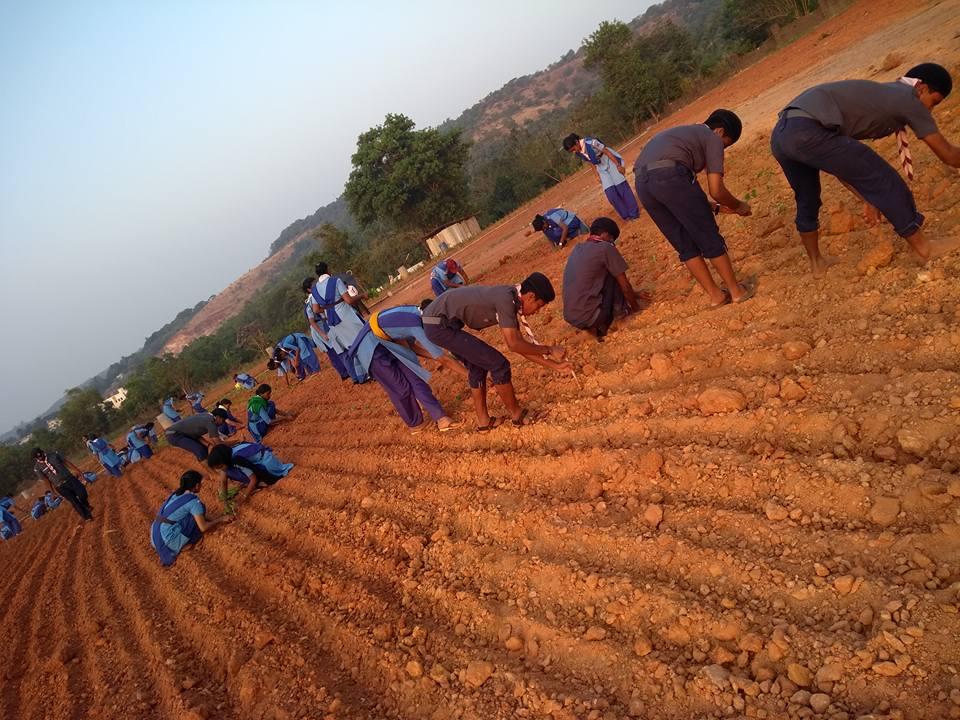 ROVER & RANGER District Level SERVICE CAMP  16th December 2017 to 18th december 2017 Bharat Scouts and Guides Udupi District Association, Karnataka . India. 