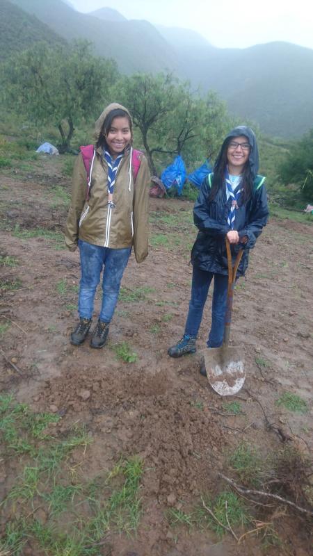Reforestación con COBOCE 