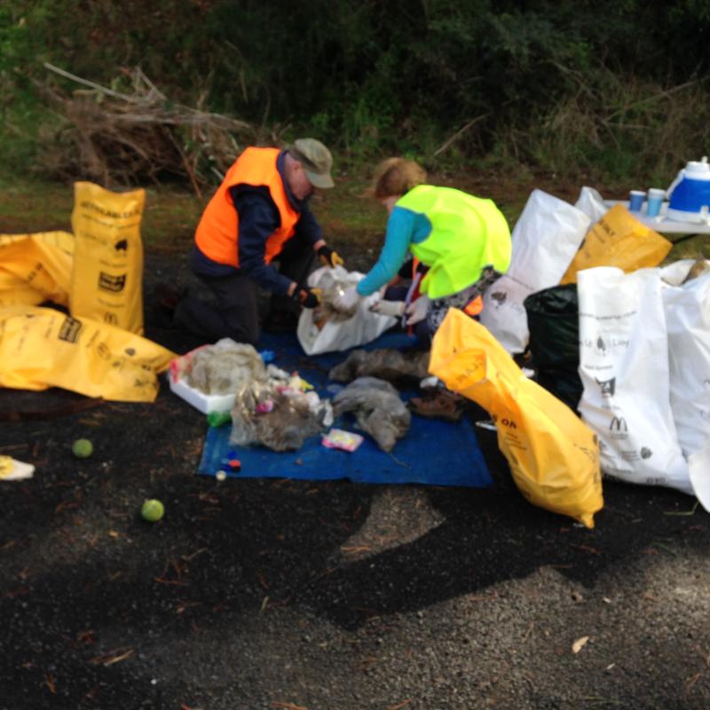 New Town Rivulet Catchment Care