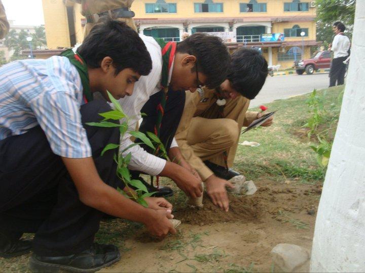 Tree Plantation "Go Green"