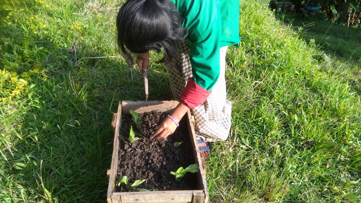 Sustainability growing for future