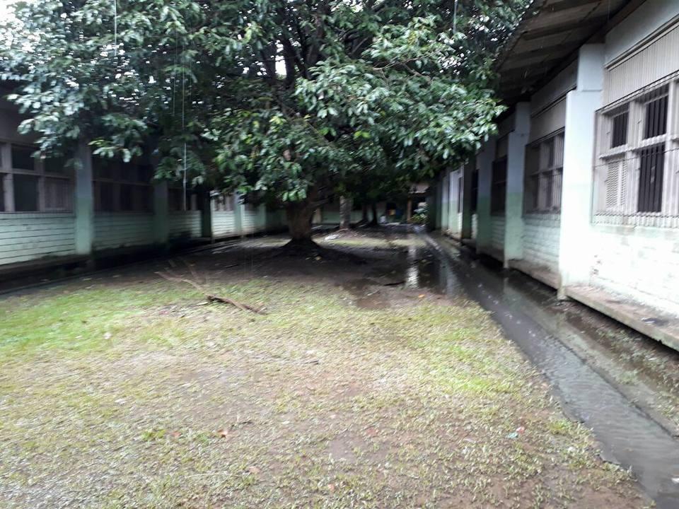 Revitalizando o espaço escolar ''Escola Estadual Lucy Correa Araújo''