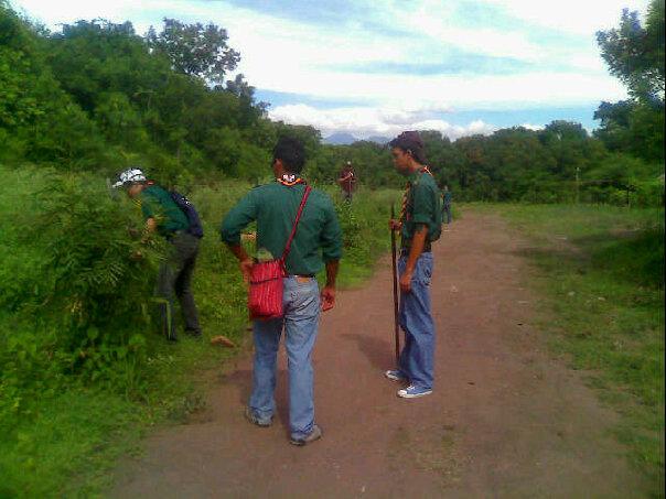 Proyecto de Reforestación Villamar