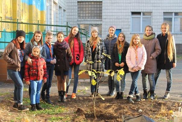 project "Plant your tree "