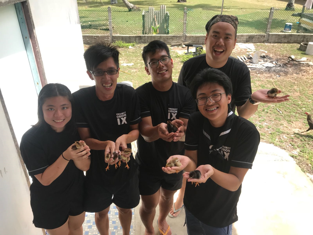 Project Orion IX  -  Rovering with Turtles