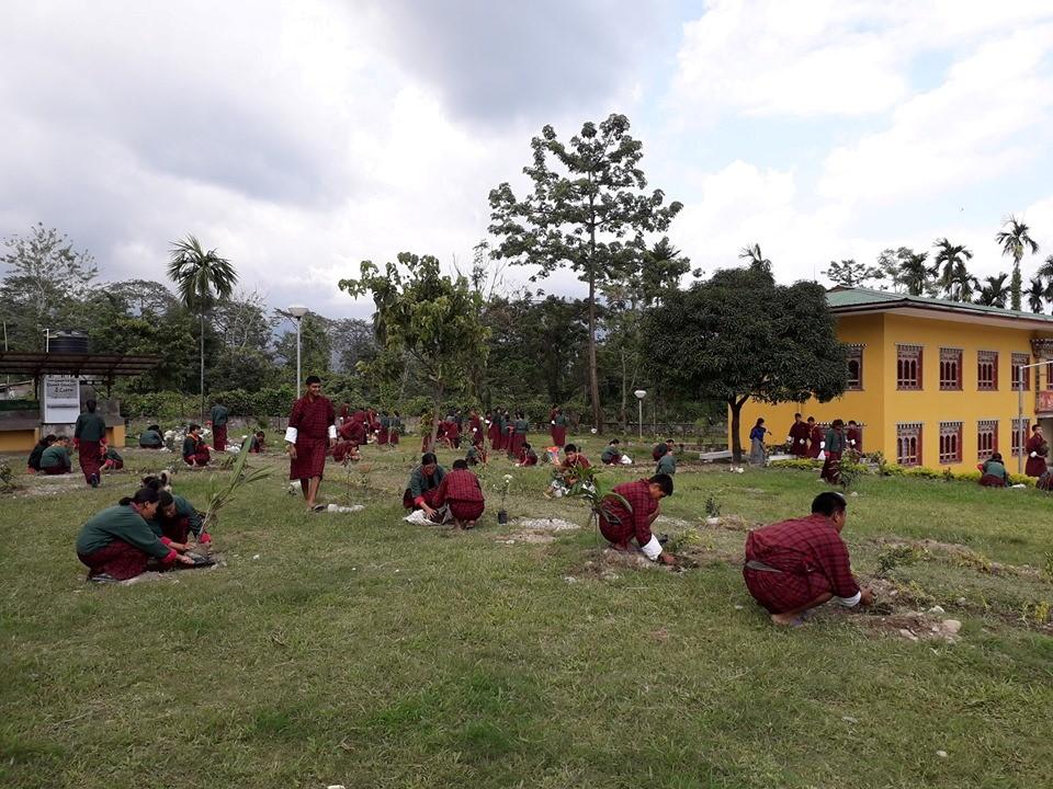 Committed to Greening Program 