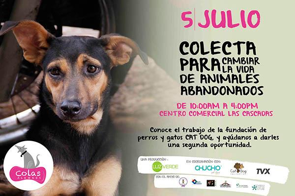 Campaña Colas Alegres