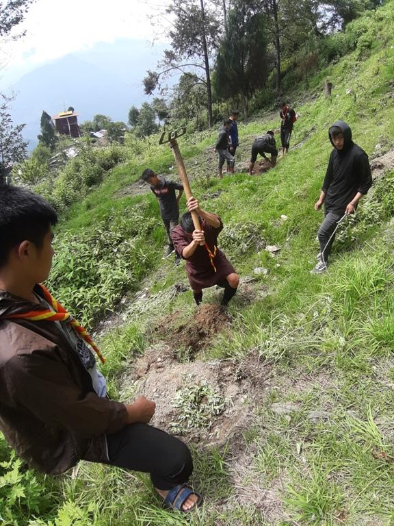 plantation by scouts for mother earth