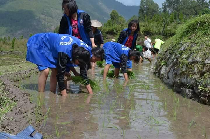 Scouts out to help community people