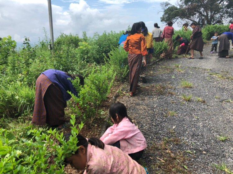 Clearing our surrounding 