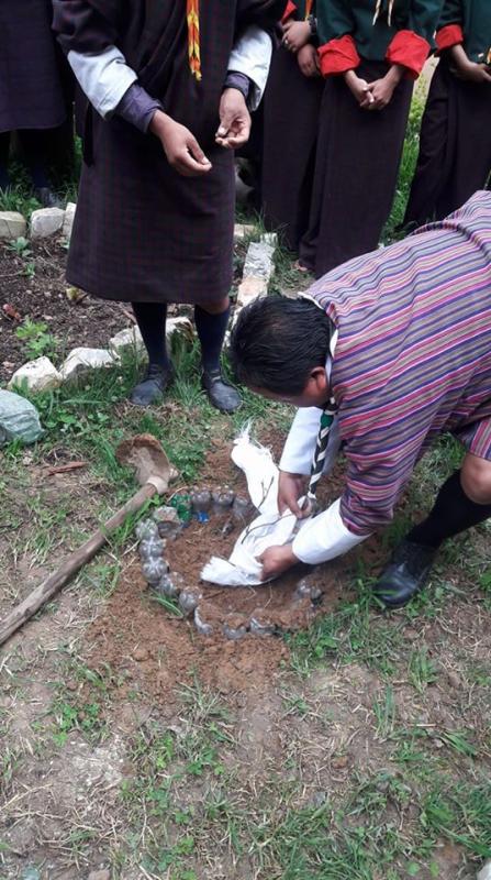 ཤིང་རིགས་གསར་འཛུགས།