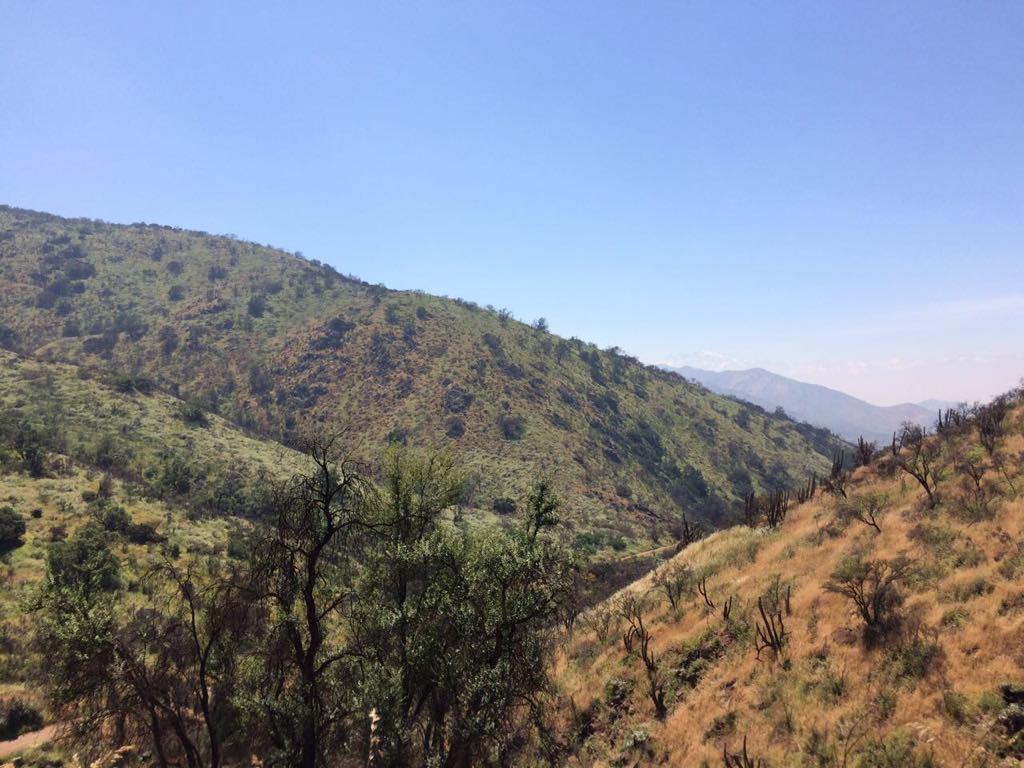 Restauración Quebrada de la Plata