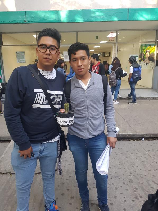Amigo Verde