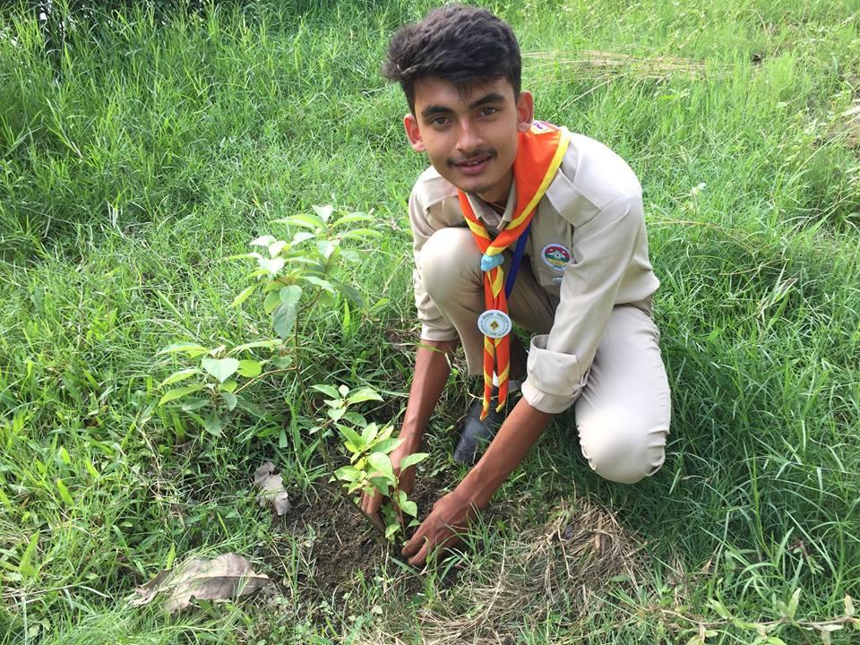 Plantation program
