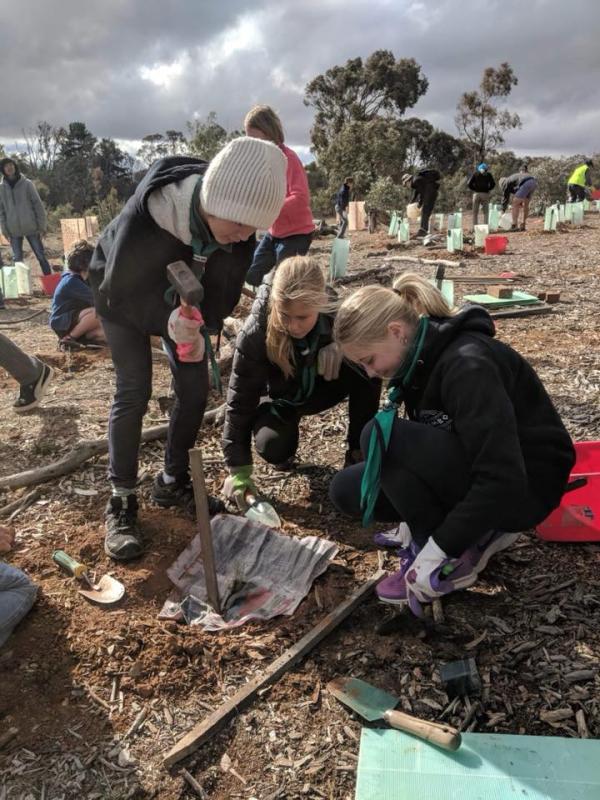 National Tree Day 2018