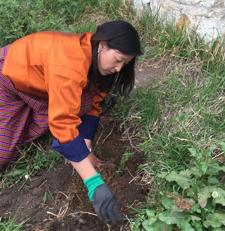 Plant a Plant Yearly