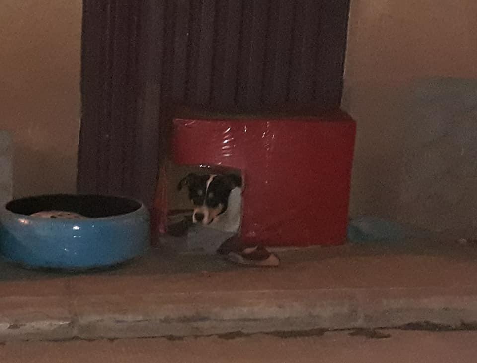 Todos  merecemos un hogar