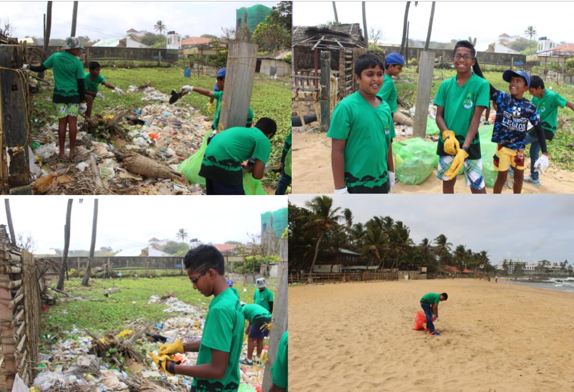 Mount Beach Clean Up