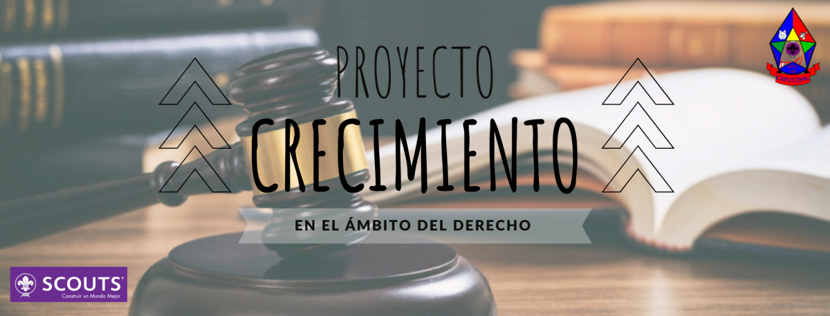 Crecimiento Profesional en el Campo del Derecho 2