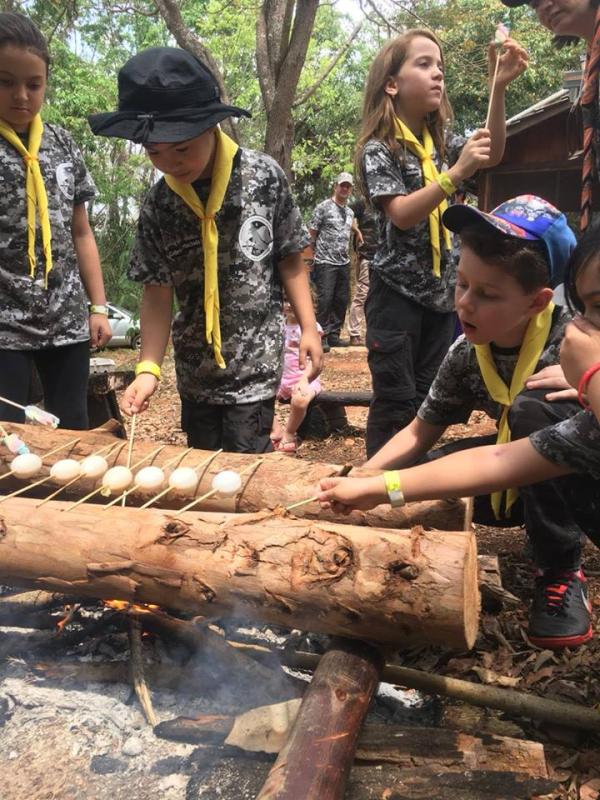  "SCOUT For 1 Day "at Scout Base of Research and Environmental Education- Goiás- Brazil 