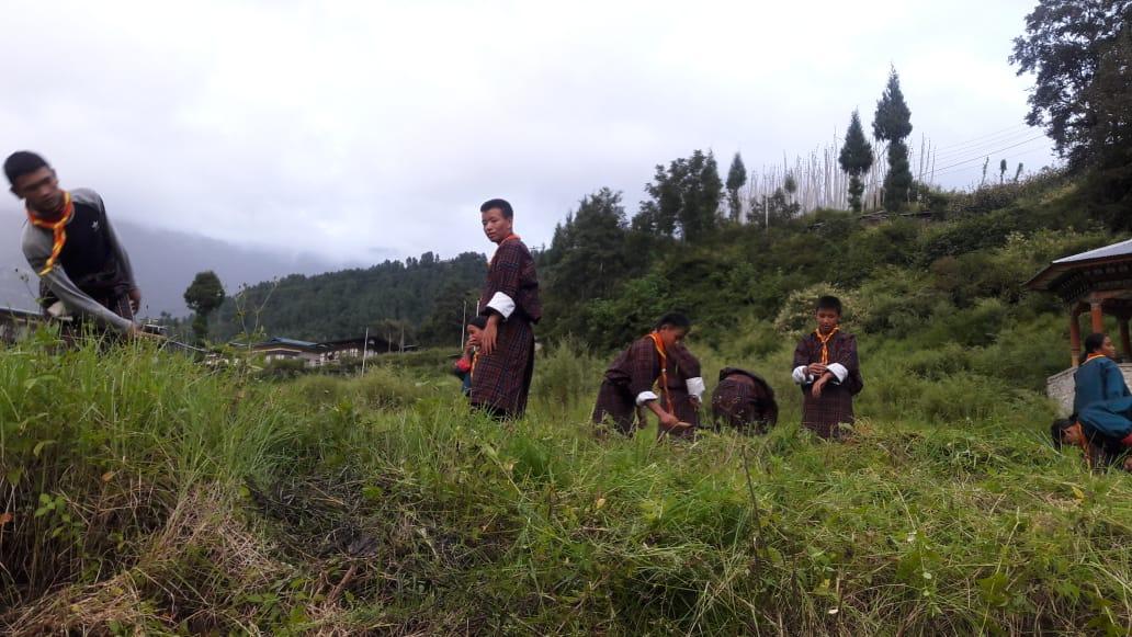 school development