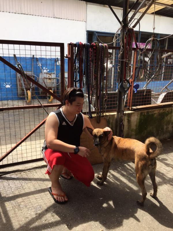 Aaron's Good Deeds(so far my fav volunteer place)