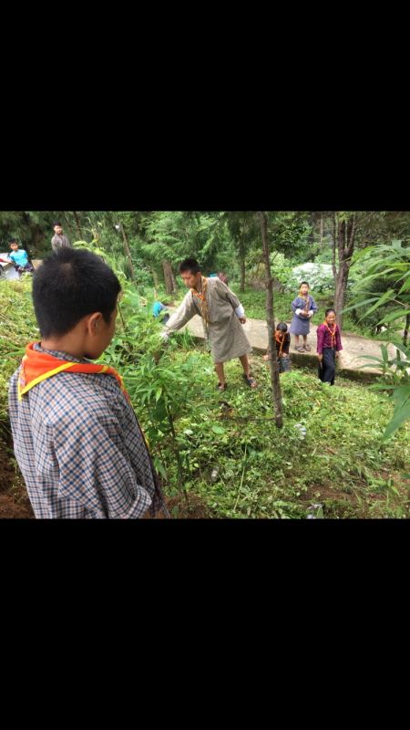 International peace day 