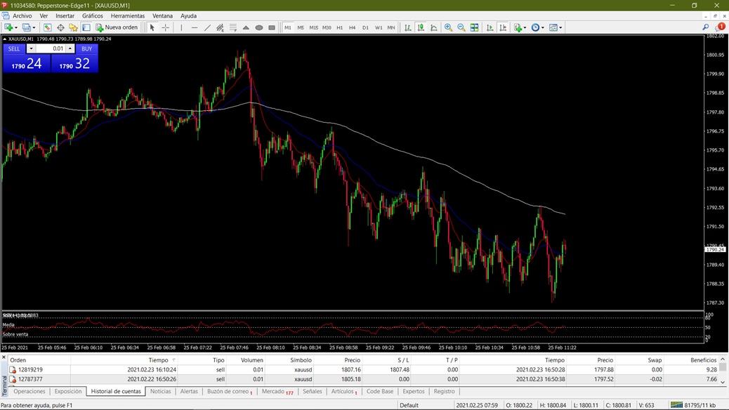 Proyecto laboral - Forex