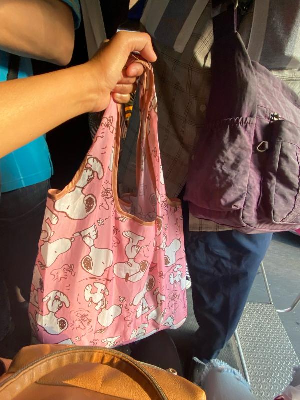 ช่วยถือของ