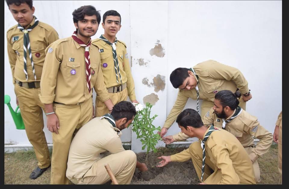 Plantation Drive